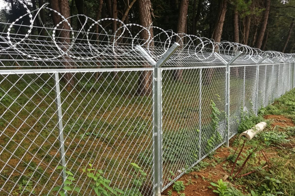 Border Forest Zone G...